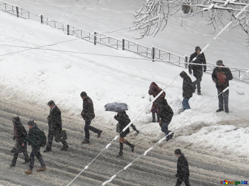 Pedestrians snowfall №18072