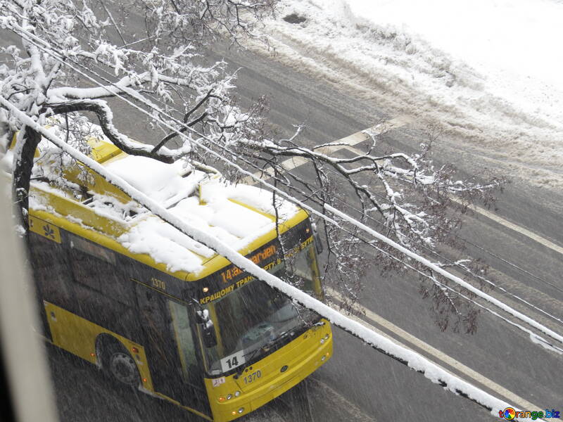 Urban transport in snow №18071