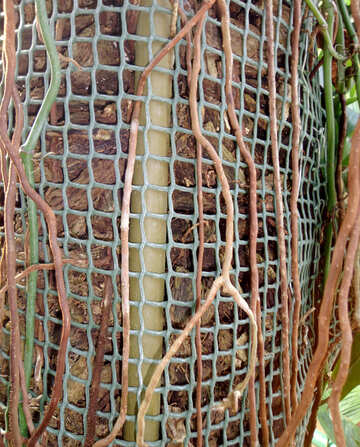 Net for plants №19492