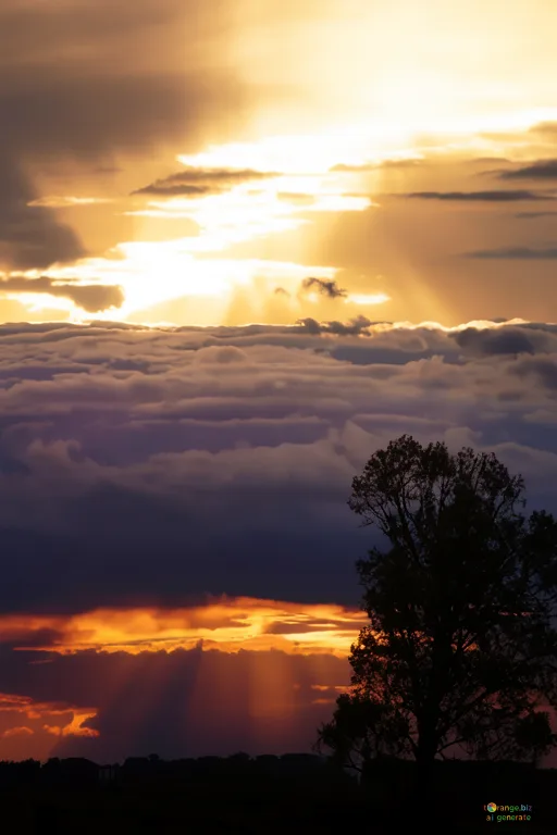 Відреставрована люксова версія  Golden Sonnenuntergang  №2785