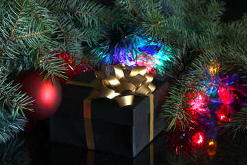  Un regalo bajo el árbol  №2750