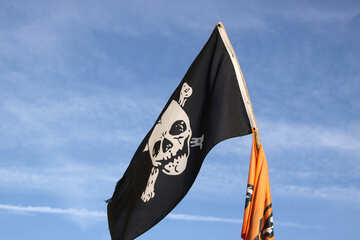 Bandera pirata №2277
