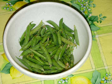 Green beans №2839