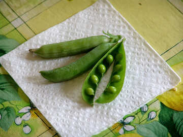  Green peas  №2842