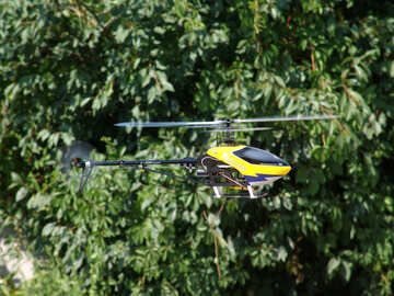  Hubschrauber auf dem Hintergrund des Laubes  №2574