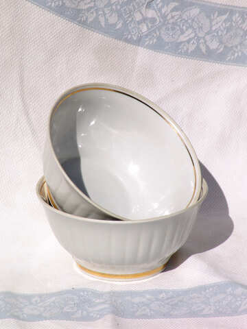  porcelain bowl  №2526