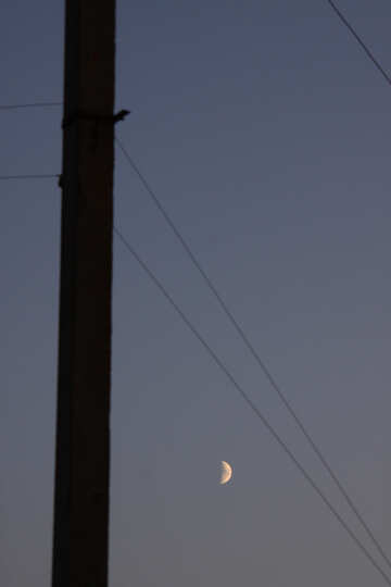  pillar. Wires. Moon Moon  №2849