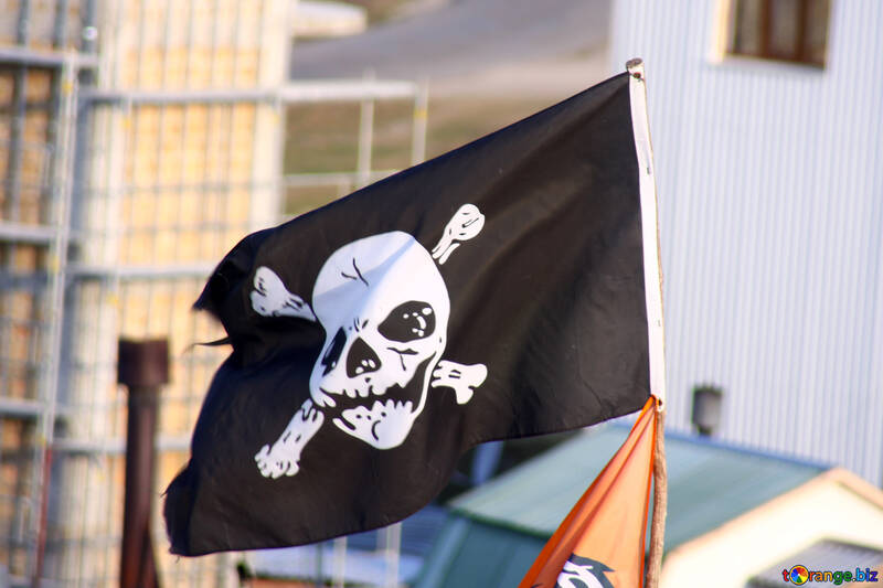 海賊 旗 №2276