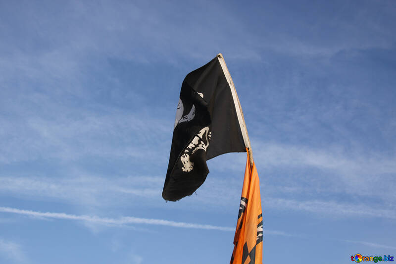  bandera pirata en el fondo de cielo azul  №2278
