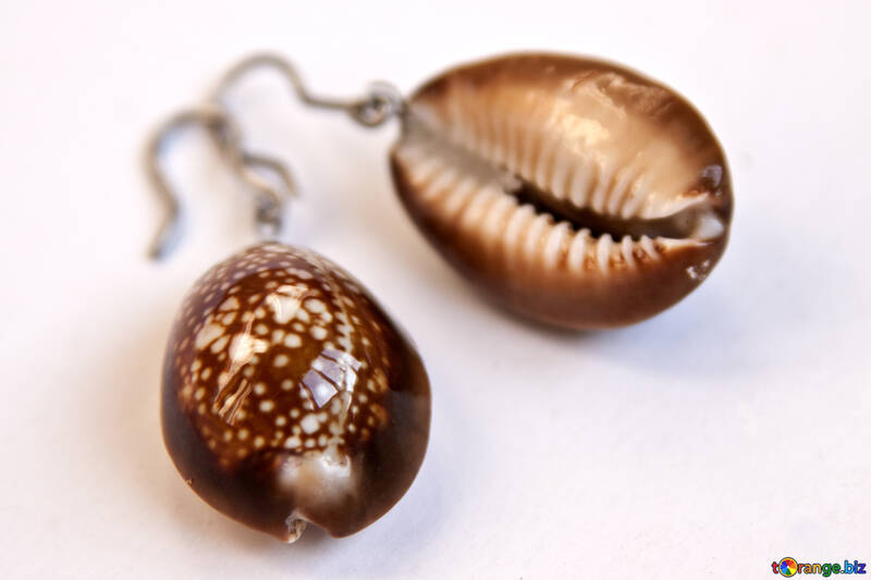 Women`s earrings made of shells. №2070