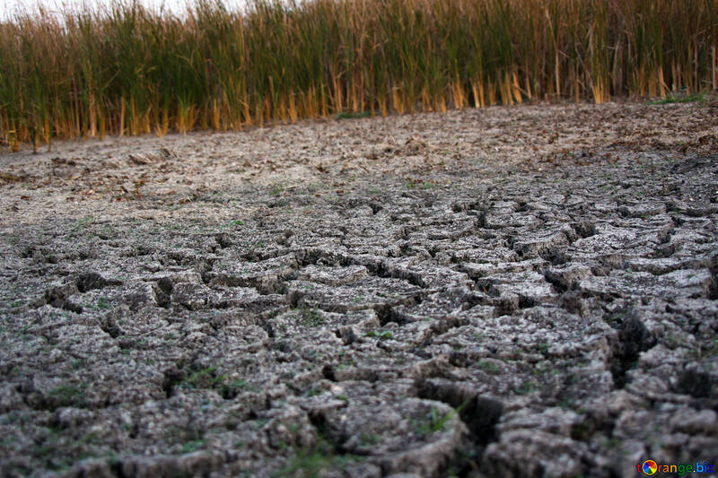  dry bottom of the lake  №2716