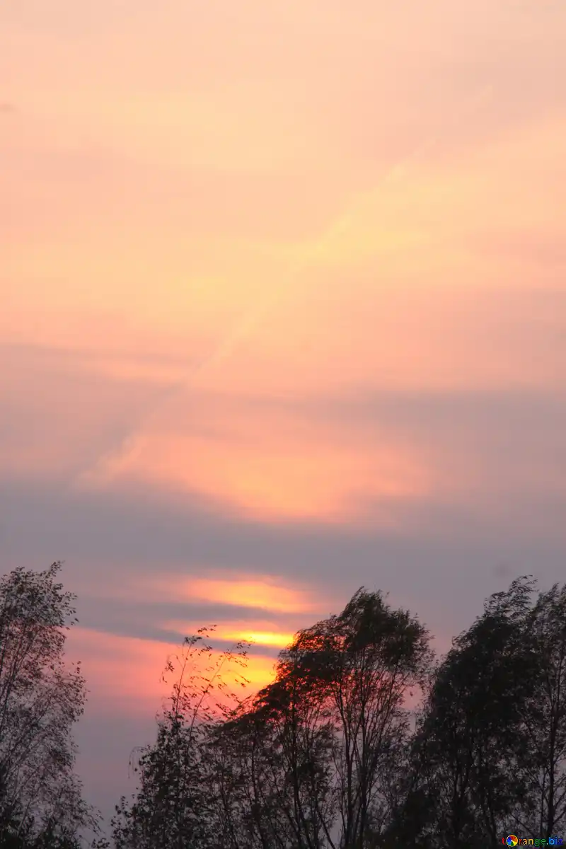 evening-sky-2719.webp