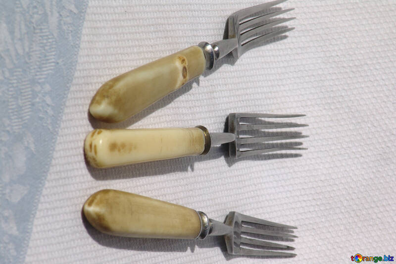 Old fork №2999