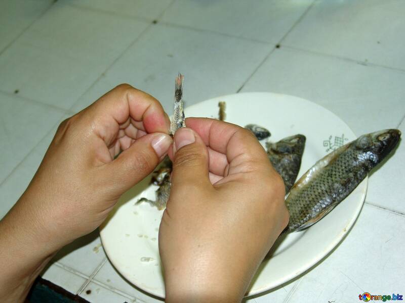 Getrocknet Fische in Hände №2458