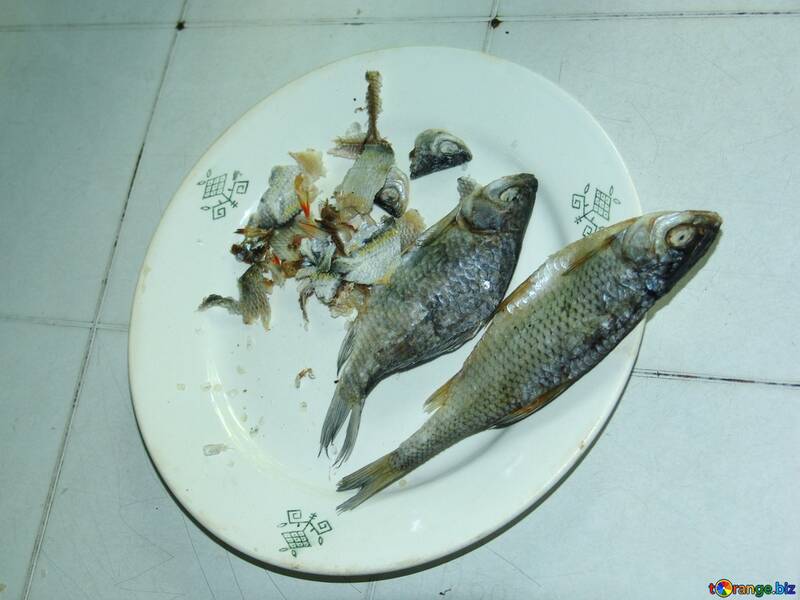 Secado  peixes  em  velho  placa №2459