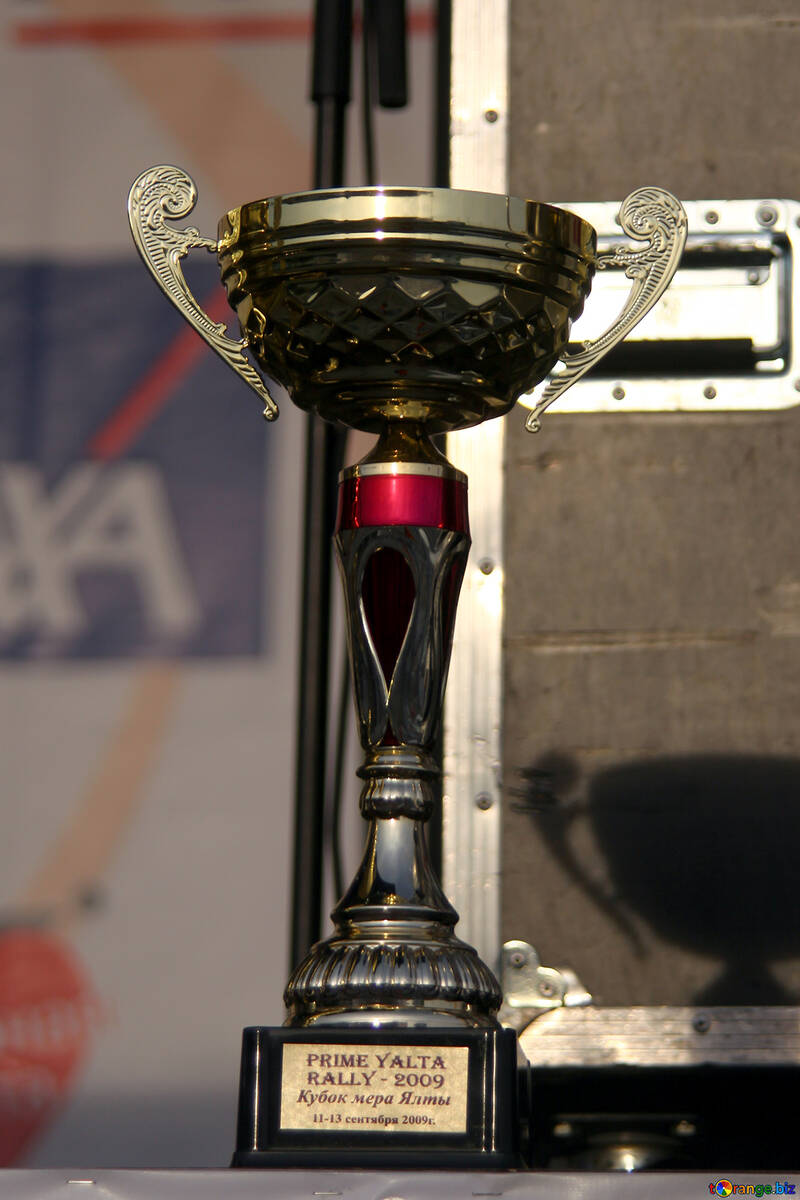 Medida Cup №2661