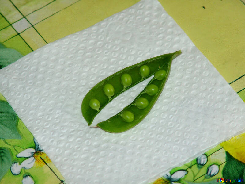  pod of green peas, fresh green peas,  №2840