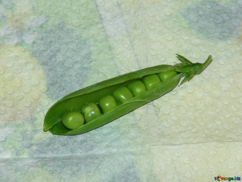 Green peas №2845