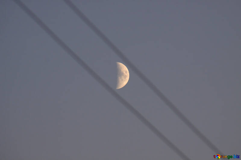 La luna en los cables №2848