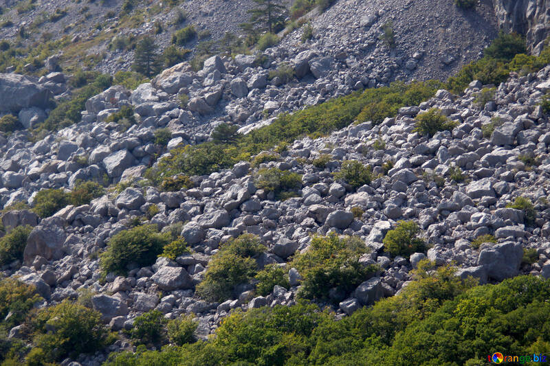 岩が多い 斜面 №2298