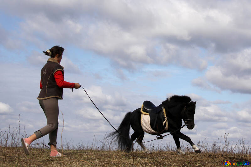 Girl trainiert die Ponys №2127