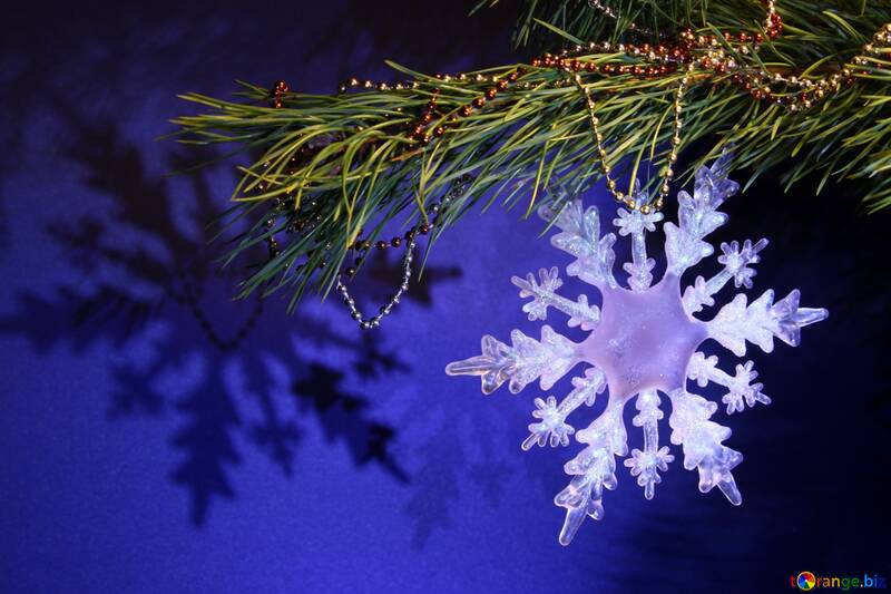 Snowflake on pine branch №2362