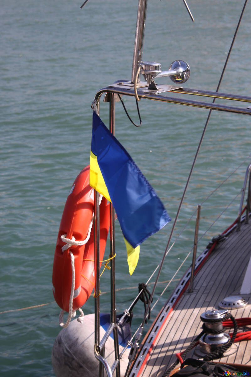 Bandiera ucraina e un salvagente №2182