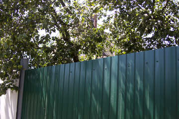 A fence made of metal profiles №20053