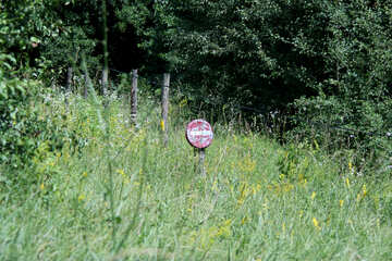 Overgrown road sign no entry №20235