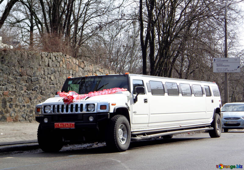 Limousine №20389