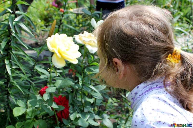 Child smelling flower №20626