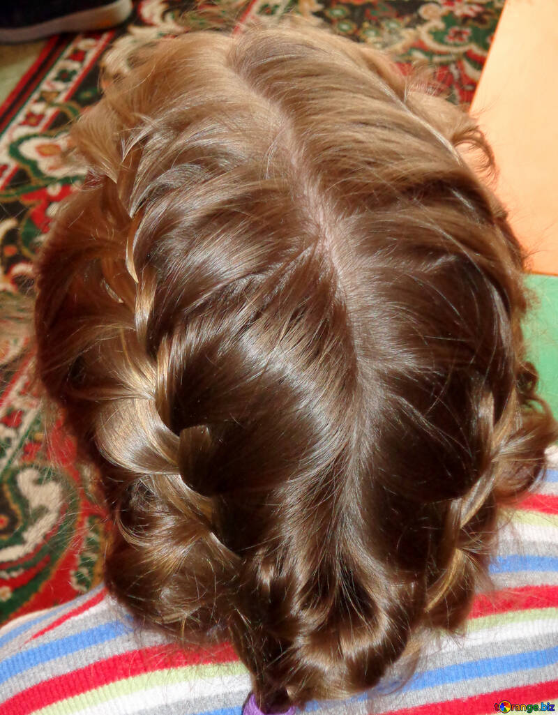 Pigtail hairstyle №20393
