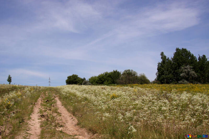 Camino rural №20007