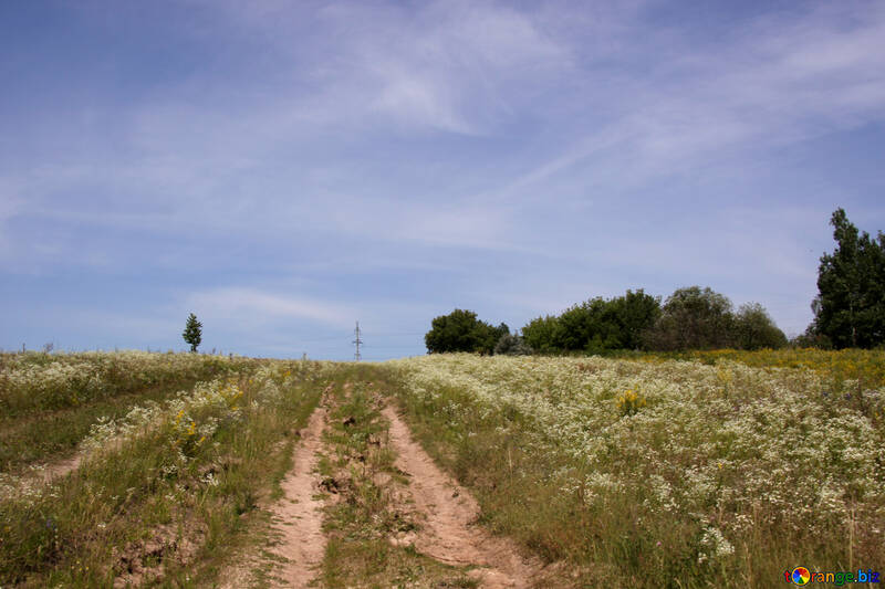 The road to the village №20006