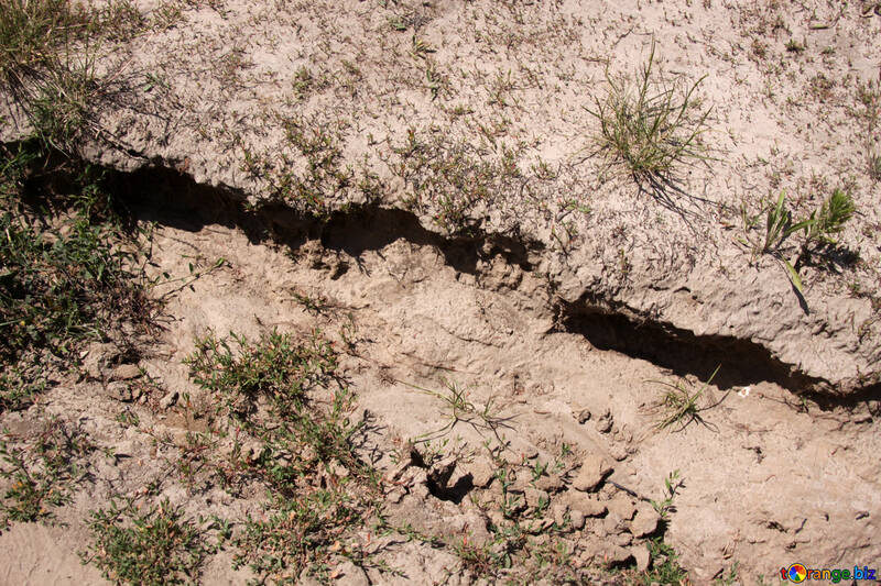 Erosione del suolo №20025