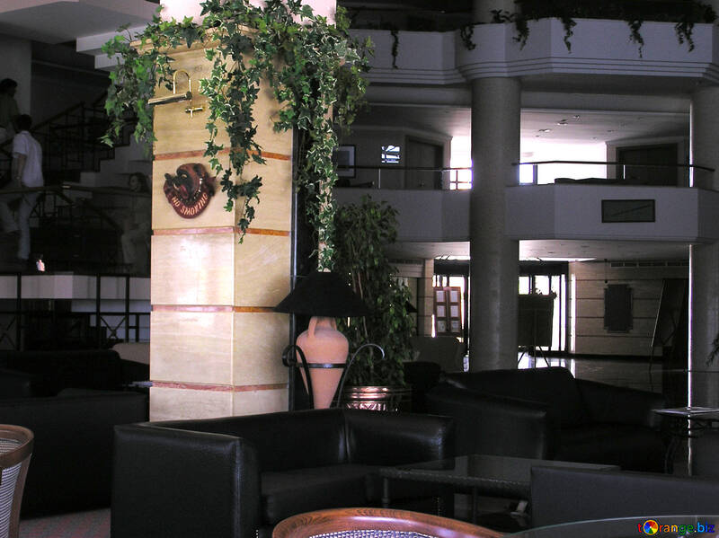 A column in the interior №20755