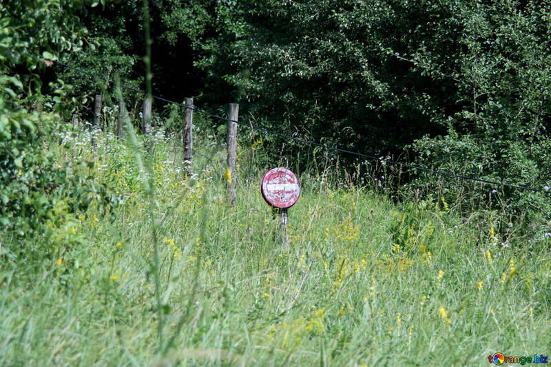 Overgrown road sign no entry №20235