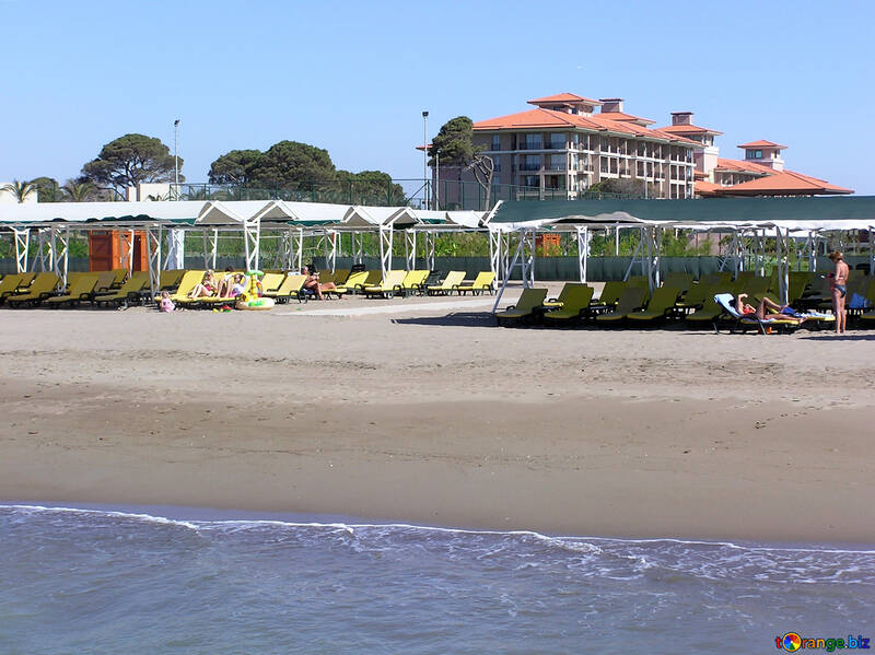 Spiaggia attrezzata con lettini prendisole, sotto copertura №20873