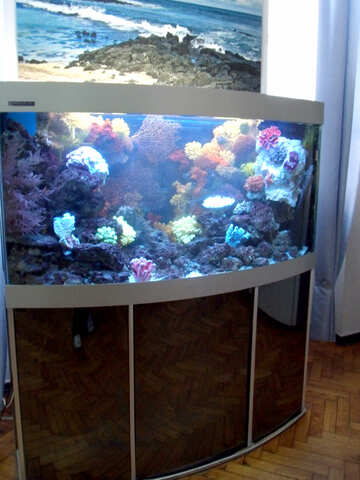 Aquarium mit Unterwasserwelt №21433
