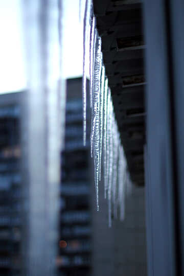 Icicles №21621
