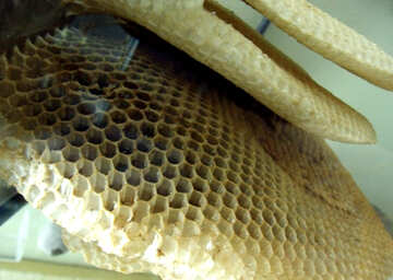 Rayons de la ruche d`abeilles №21384
