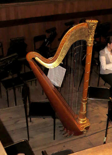 Big Harp №21643