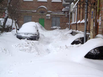 Автомобілі у дворі засипані снігом №21570