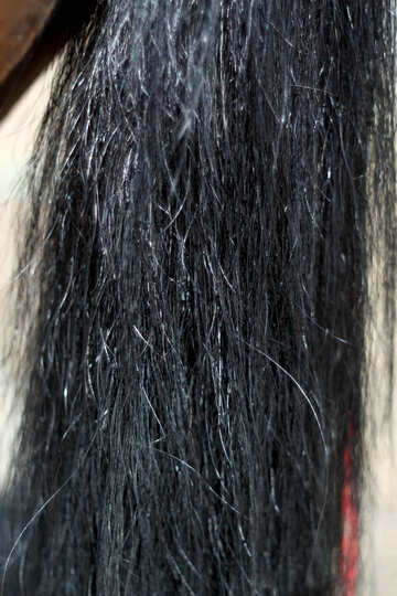 Кінський волос №21885