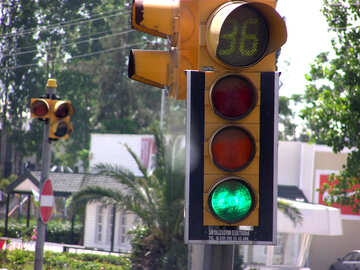 Traffic light №21209