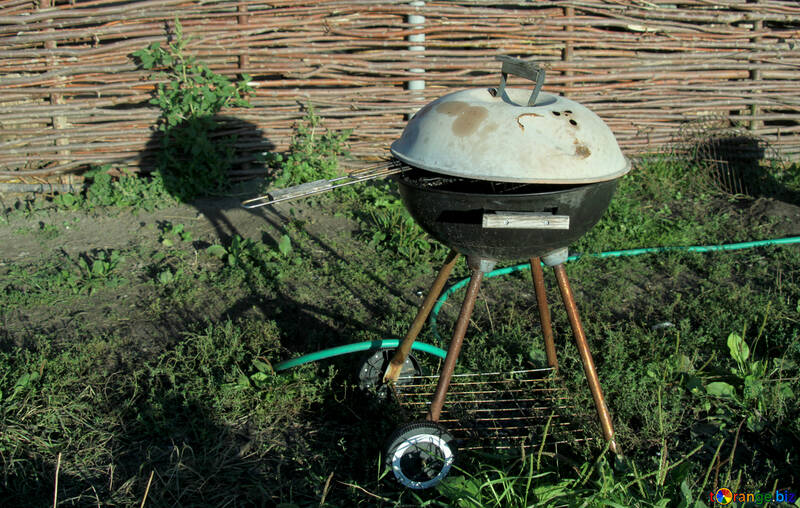 Barbecue in the country №21848