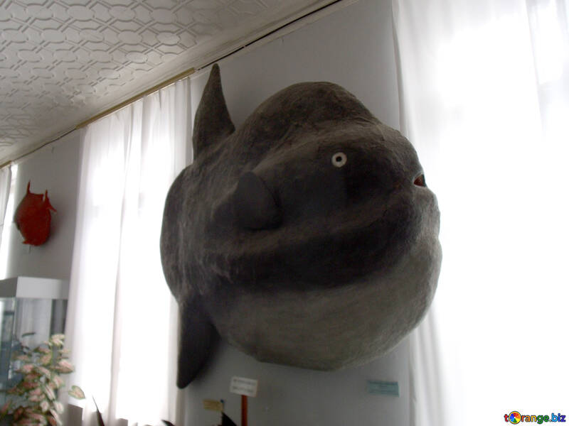 Fish stuffed moon №21337