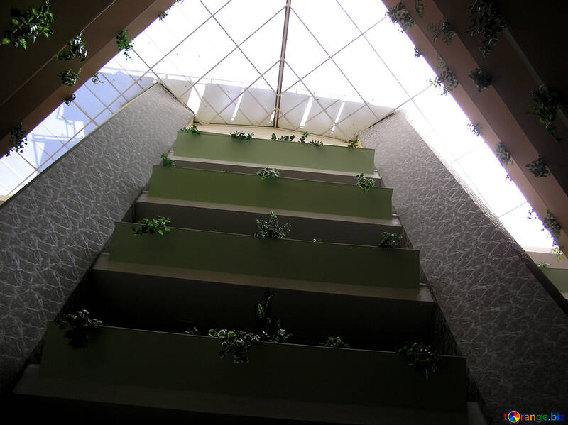 O telhado de vidro do hotel №21727