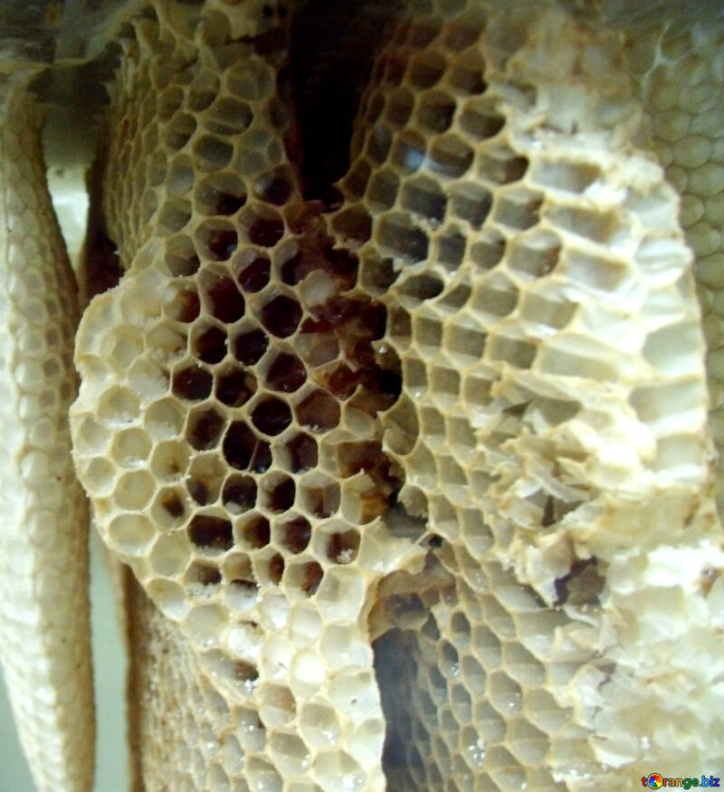 Honeycomb №21385
