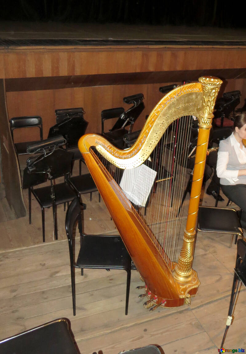 Harp №21638